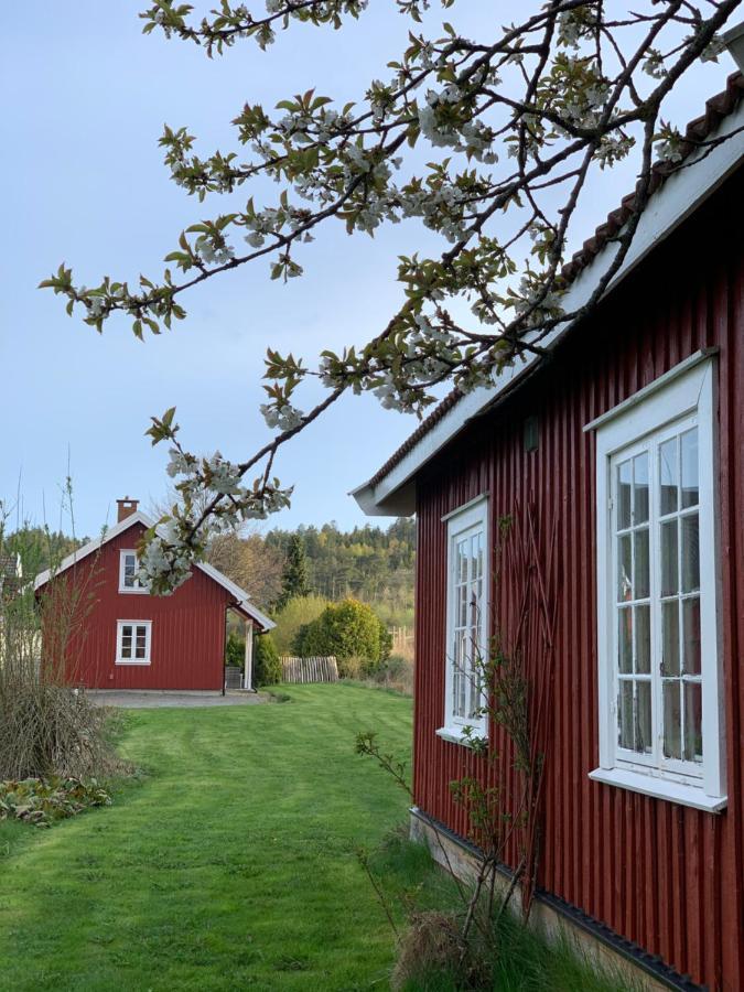 Morellgarden Larvik Exterior photo