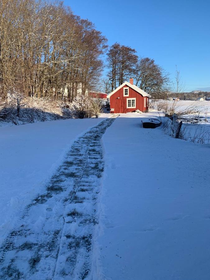 Morellgarden Larvik Exterior photo