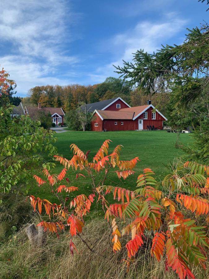 Morellgarden Larvik Exterior photo